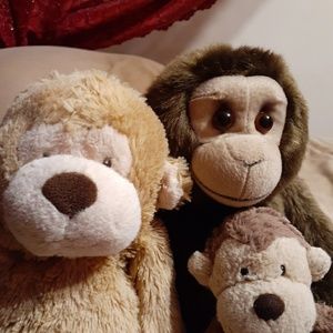 Meet your Posher, Roger